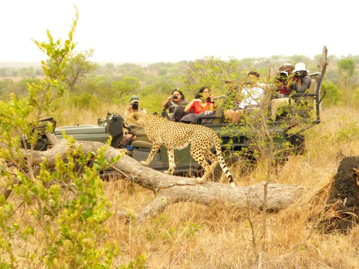 Umkumbe Safari Lodge Riverside سكوكوزا المظهر الخارجي الصورة