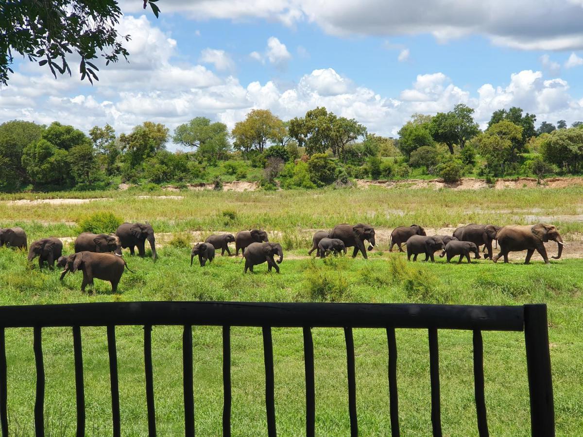 Umkumbe Safari Lodge Riverside سكوكوزا المظهر الخارجي الصورة